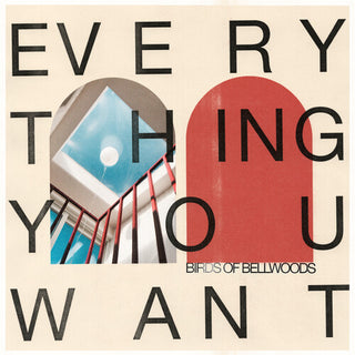 Birds of Bellwoods- Everything You Want