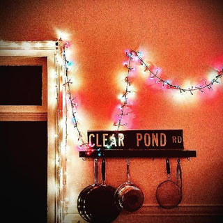the album cover for Kristin Hersh - Clear Pond Road