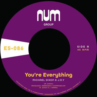 Dixon Michael a. & J.O.Y.- You're Everything B/w You're All I Need