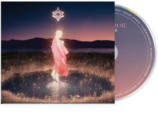 the album cover for Invent Animate - Heavener