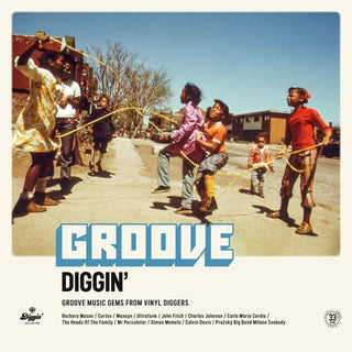 Various Artists- Groove Diggin