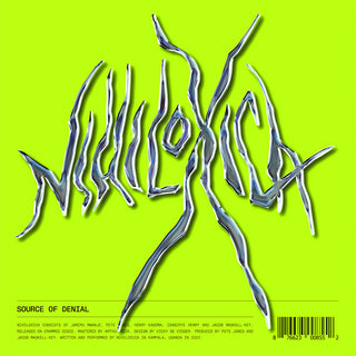 the album cover for Nihiloxica - Source Of Denial