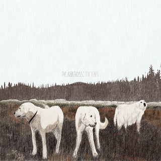 Foxing- The Albatross: Ten Years