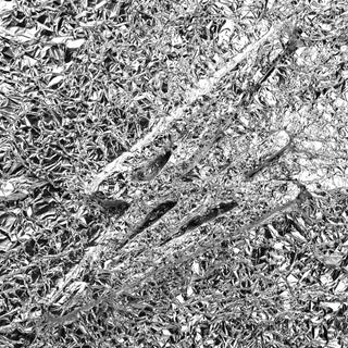 the album cover for Say She She - Silver [2LP]