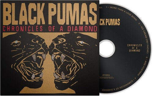 Black Pumas- Chronicles Of A Diamond