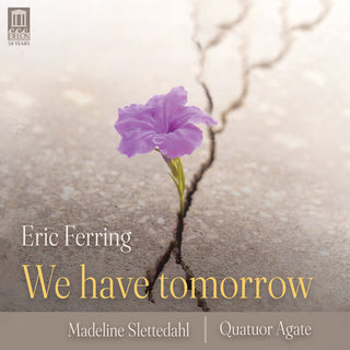 the album cover for Faure / Shepherd / Slettedahl - We Have Tomorrow