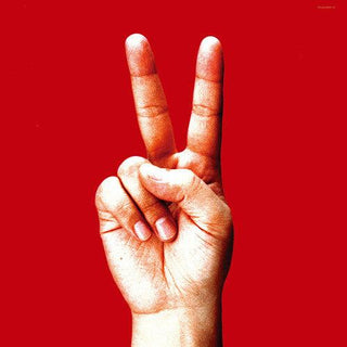 Bloodthirsty Butchers- birdy (Vinyl)