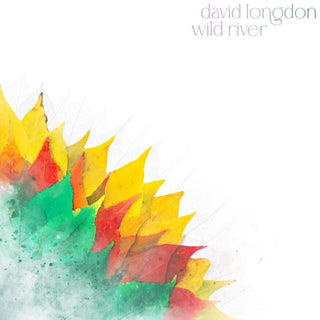 the album cover for David Longdon - Wild River (Uk)
