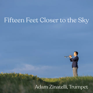 the album cover for Chang / Dharmoo / Zinatelli - Fifteen Feet Closer To The Sky