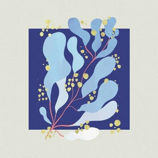Salamanda- In Parallel (Vinyl)