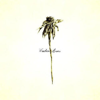 Patrick Watson- Wooden Arms (Vinyl)