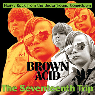 Various Artists- Brown Acid - The Seventeenth Trip (Various Artists)