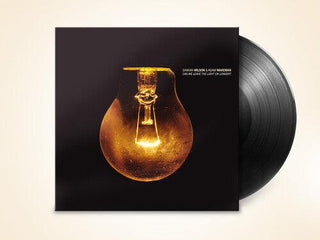 Damian Wilson- Can We Leave The Light On Longer? (Vinyl)