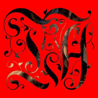 the album cover for Lord Spikeheart - The Adept