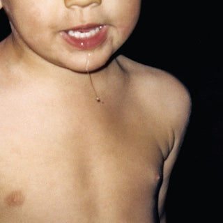 the album cover for La Paloma - Todavia No
