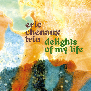 the album cover for Eric Chenaux  Trio - Delights Of My Life (Blk)