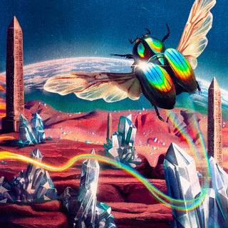 the album cover for Danger Mouse & Jemini - Born Again [180 Gram]