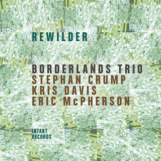 the album cover for Borderlands Trio - Rewilder