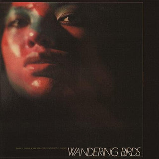 Jiro Inagaki- Wandering Birds (PREORDER)