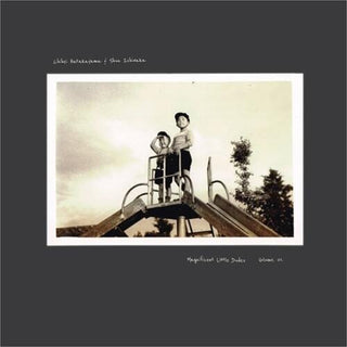 the album cover for Chihei Hatakeyama - Magnificent Little Dudes Vol.1