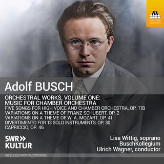 the album cover for Busch / Wittig - Orchestral Works, Vol. 1