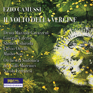 the album cover for Camussi / Gavazzeni / Valerio - Il Volto Della Vergine