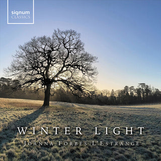 Richard Gower- Winter Light