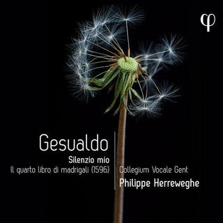 Hannah Ely- Gesualdo: Silenzio mio - Il quarto libro di madrigali