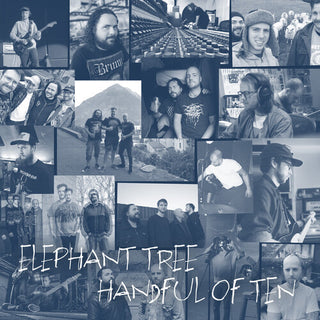 Elephant Tree- Handful of Ten