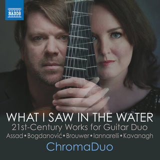 ChromaDuo- Assad, Bogdanovic, Brouwer, Iannarelli & Kavanagh: What I Saw in the Water (PREORDER)