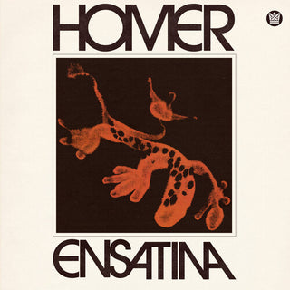 Homer- Ensatina