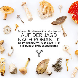 Freiburger Barockorchester- Auf Der Jagd Nach Romantik