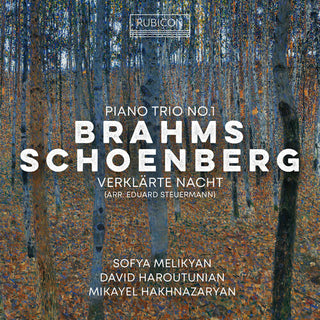 Sofia Melikyan- Brahms: Piano Trio No.1; Schoenberg: Verklarte Nacht