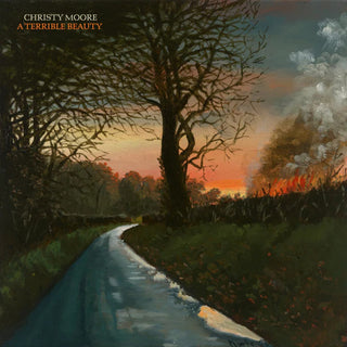 the album cover for Unknown Artist - Terrible Beauty