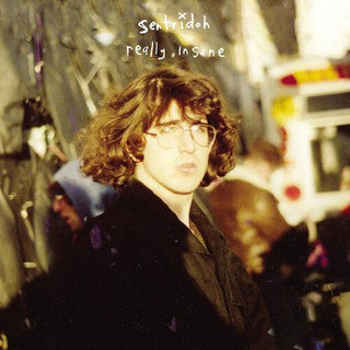 Sentridoh- Really Insane : A Lou Barlow Compendium