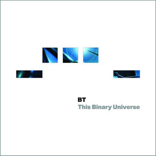 BT- This Binary Universe