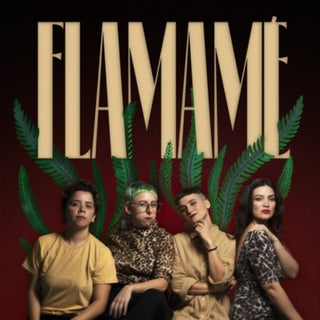 the album cover for Flamame - Flamame