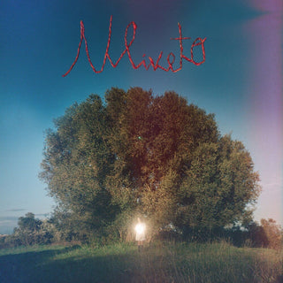 the album cover for Montinaro, Donatella - Uliveto