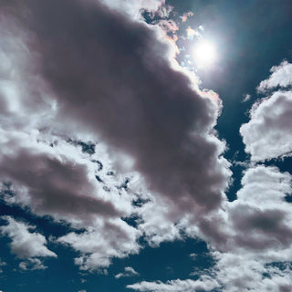 the album cover for Kestrels - Better Wonder