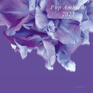 Various Artists- Pop Ambient 2025