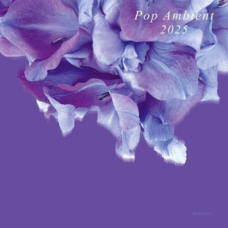 Various Artists- Pop Ambient 2025