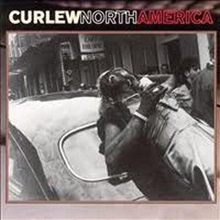the album cover for Curlew - North America