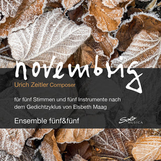 the album cover for Zeitler / Gschwend / Zischg - Novembrig