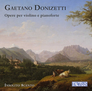 the album cover for Donizetti / Rizzo / Magistris - Works For Violin & Piano