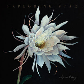 Heather Maloney- Exploding Star (Vinyl)
