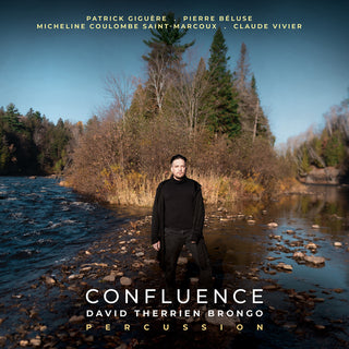 the album cover for Beluse / Giguere / Brongo - Confluence