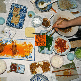 Vices- Before It Might Be Gone (Vinyl)