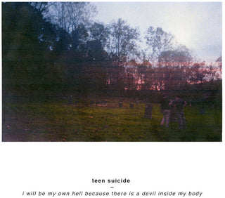 the album cover for Teen Suicide - I Will Be My Own Hell [Colored Vinyl] (Pnk) (Can)