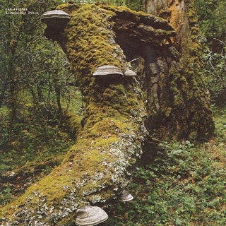 Jan Jelinek- Kosmischer Pitch