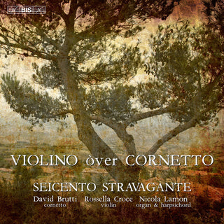 the album cover for Buonamente / Castello / Giamberti / Croce - Seicento Stravagante - Violino Over Cornetto